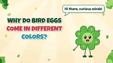 Why do bird eggs come in different colors?
