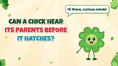Can a chick hear its parents before it hatches?