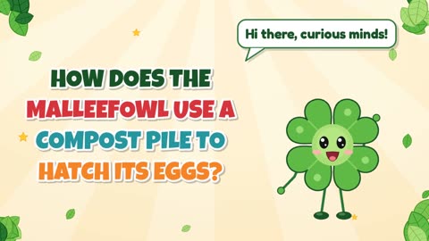 How does the malleefowl use a compost pile to hatch its eggs?