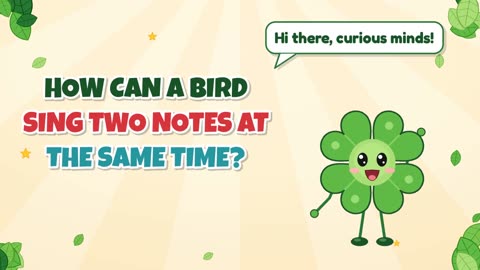 How can a bird sing two notes at the same time?