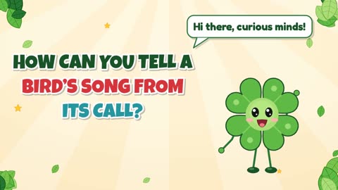 How can you tell a bird’s song from its call?