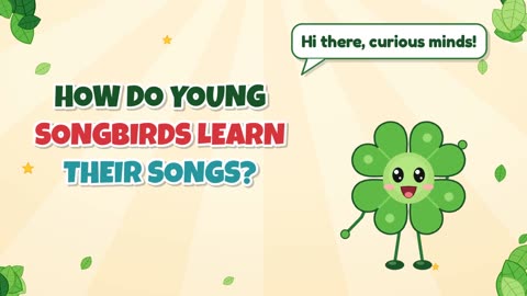 How do young songbirds learn their songs?