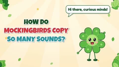 How do mockingbirds copy so many sounds?