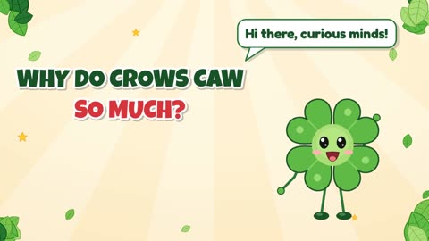 Why do crows caw so much?