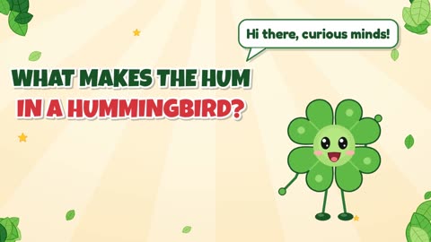What makes the hum in a hummingbird?