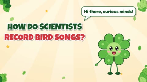 How do scientists record bird songs?