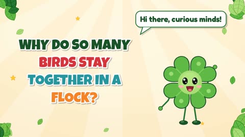 Why do so many birds stay together in a flock?
