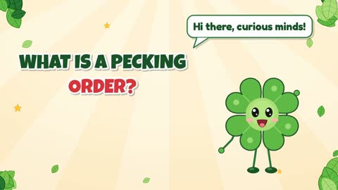 What is a pecking order?