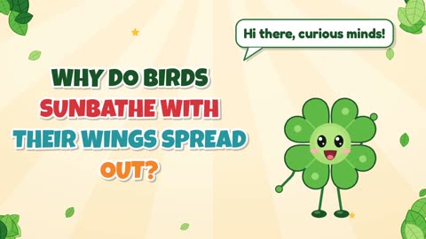 Why do birds sunbathe with their wings spread out?