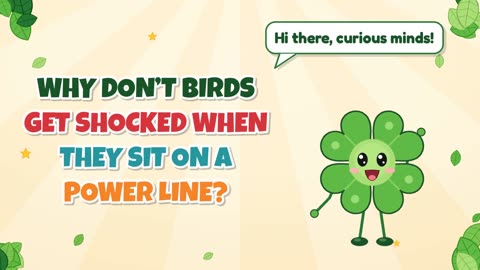 Why don’t birds get shocked when they sit on a power line?