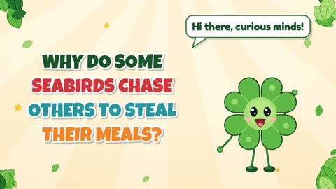 Why do some seabirds chase others to steal their meals?