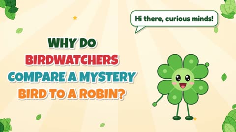 Why do birdwatchers compare a mystery bird to a robin?