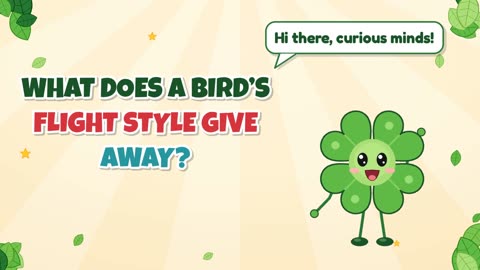 What does a bird’s flight style give away?