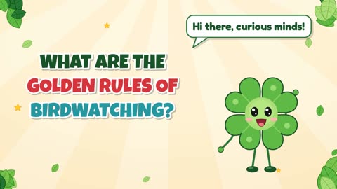 What are the golden rules of birdwatching?