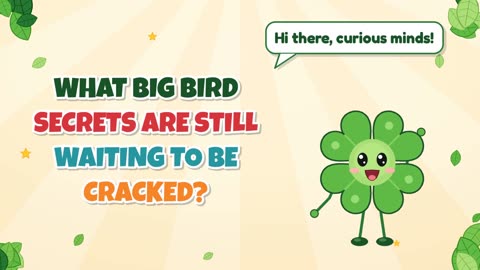 What big bird secrets are still waiting to be cracked?