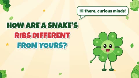 How are a snake’s ribs different from yours?