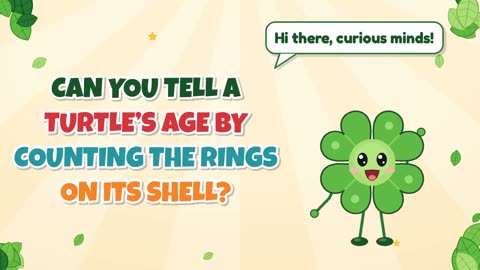 Can you tell a turtle’s age by counting the rings on its shell?