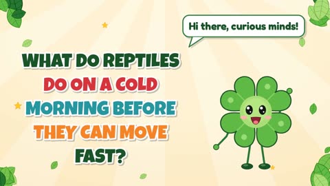 What do reptiles do on a cold morning before they can move fast?