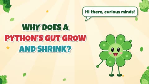 Why does a python’s gut grow and shrink?