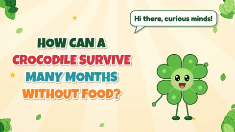 How can a crocodile survive many months without food?