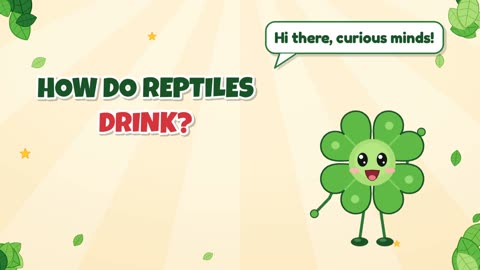 How do reptiles drink?