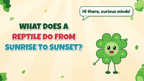 What does a reptile do from sunrise to sunset?