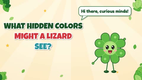 What hidden colors might a lizard see?