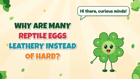 Why are many reptile eggs leathery instead of hard?