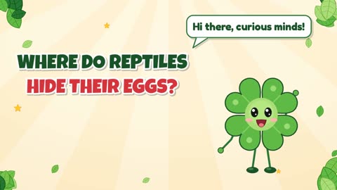Where do reptiles hide their eggs?