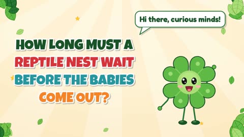 How long must a reptile nest wait before the babies come out?