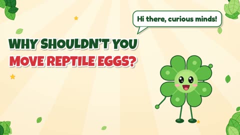 Why shouldn’t you move reptile eggs?