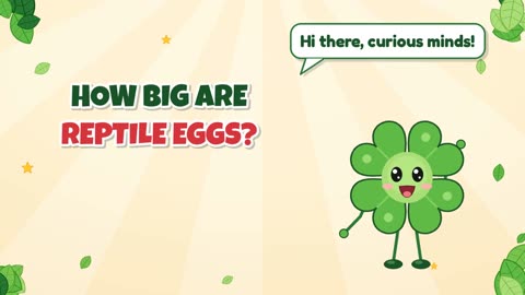 How big are reptile eggs?
