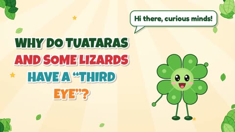 Why do tuataras and some lizards have a “third eye”?