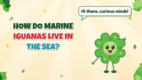 How do marine iguanas live in the sea?
