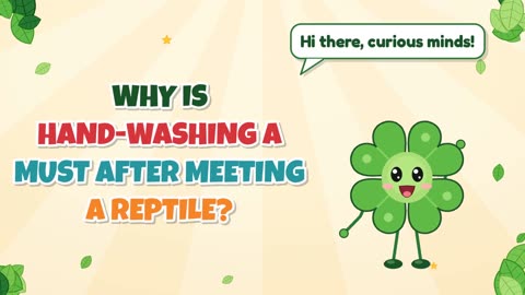 Why is hand-washing a must after meeting a reptile?
