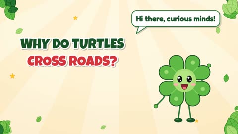 Why do turtles cross roads?