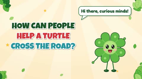 How can people help a turtle cross the road?