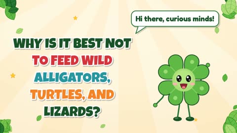 Why is it best not to feed wild alligators, turtles, and lizards?