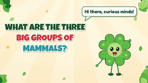 What are the three big groups of mammals?