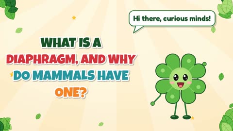 What is a diaphragm, and why do mammals have one?
