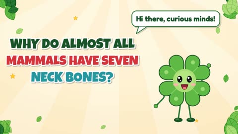 Why do almost all mammals have seven neck bones?