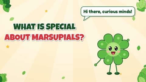 What is special about marsupials?