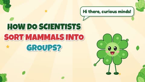 How do scientists sort mammals into groups?