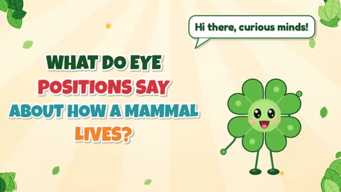 What do eye positions say about how a mammal lives?