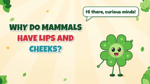 Why do mammals have lips and cheeks?