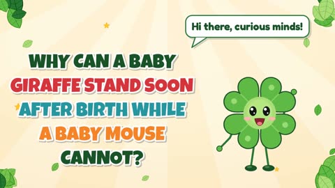 Why can a baby giraffe stand soon after birth while a baby mouse cannot?