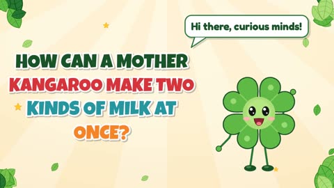 How can a mother kangaroo make two kinds of milk at once?