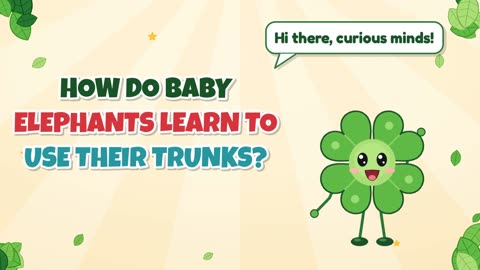 How do baby elephants learn to use their trunks?