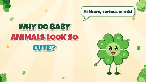 Why do baby animals look so cute?