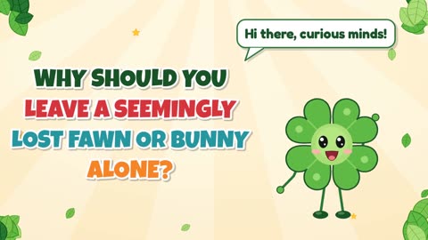 Why should you leave a seemingly lost fawn or bunny alone?